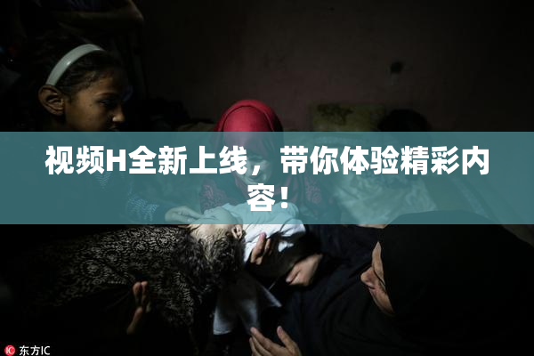 视频H全新上线，带你体验精彩内容！