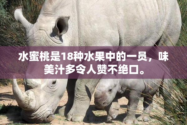 水蜜桃是18种水果中的一员，味美汁多令人赞不绝口。