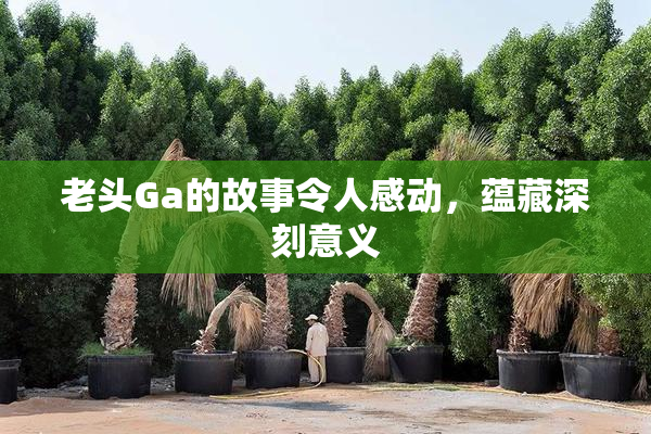 老头Ga的故事令人感动，蕴藏深刻意义