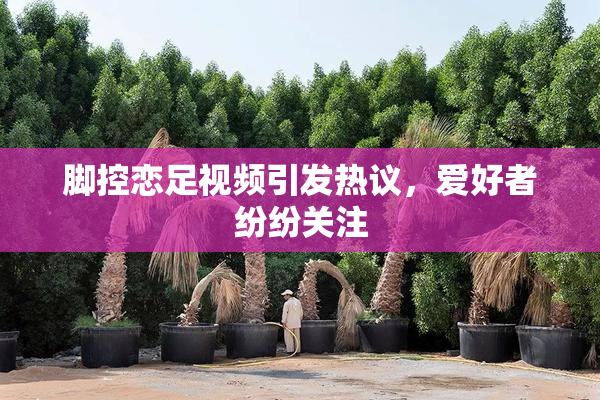 脚控恋足视频引发热议，爱好者纷纷关注