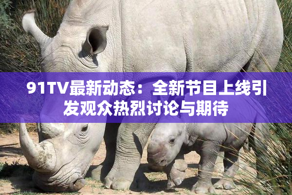 91TV最新动态：全新节目上线引发观众热烈讨论与期待