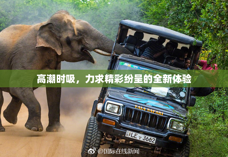 高潮时吸，力求精彩纷呈的全新体验