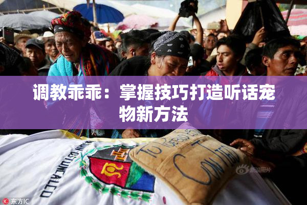 调教乖乖：掌握技巧打造听话宠物新方法