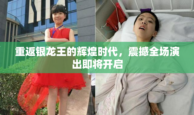 重返银龙王的辉煌时代，震撼全场演出即将开启