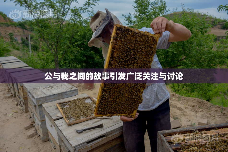 公与我之间的故事引发广泛关注与讨论