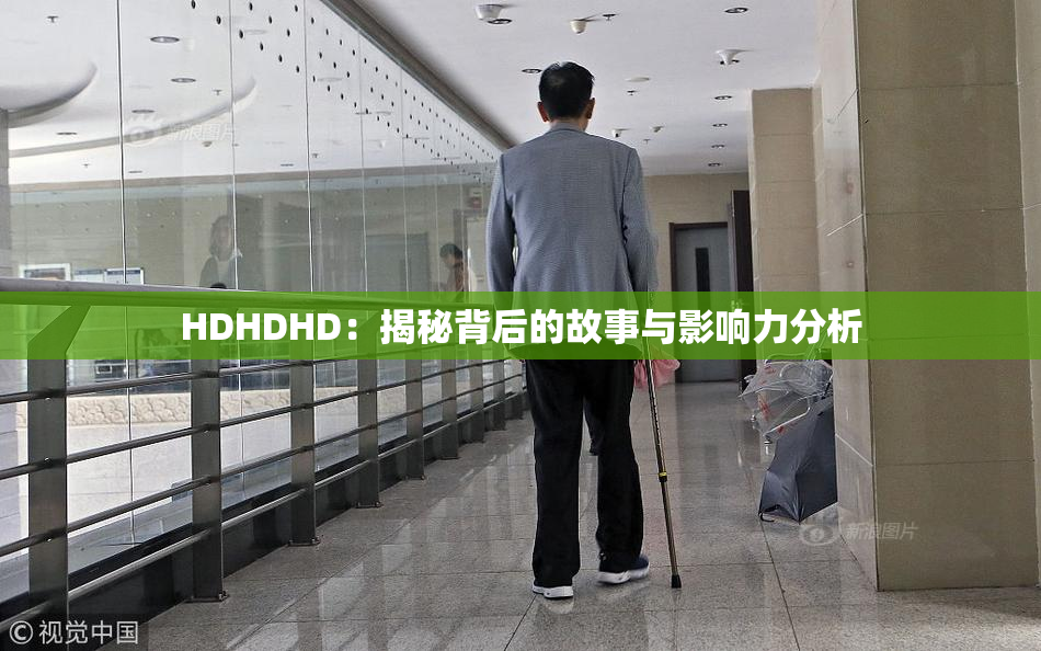 HDHDHD：揭秘背后的故事与影响力分析