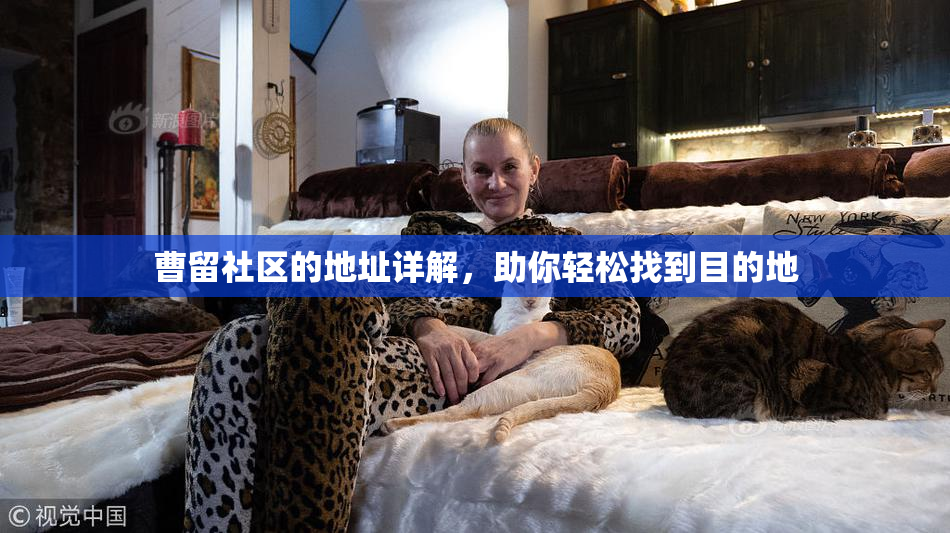 曹留社区的地址详解，助你轻松找到目的地