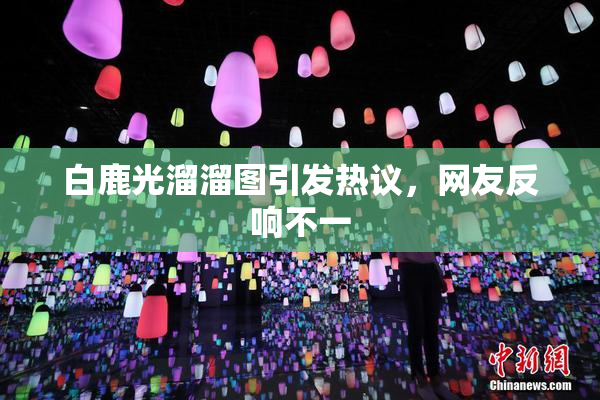 白鹿光溜溜图引发热议，网友反响不一
