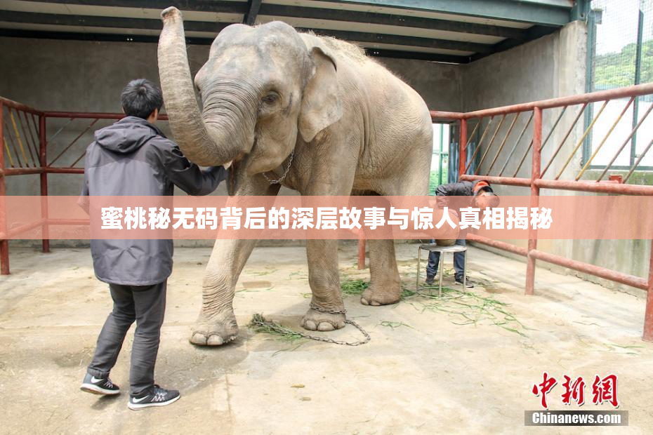 蜜桃秘无码背后的深层故事与惊人真相揭秘