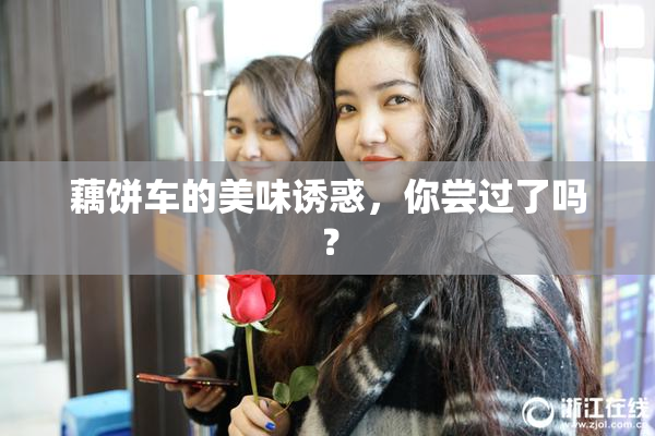 藕饼车的美味诱惑，你尝过了吗？