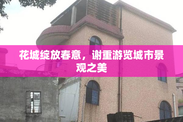 花城绽放春意，谢重游览城市景观之美