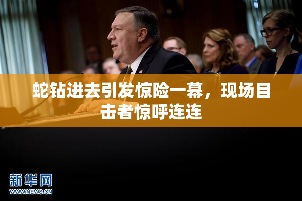 蛇钻进去引发惊险一幕，现场目击者惊呼连连