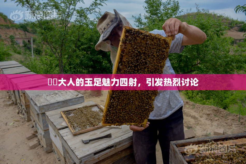 芃芃大人的玉足魅力四射，引发热烈讨论