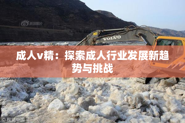 成人v精：探索成人行业发展新趋势与挑战