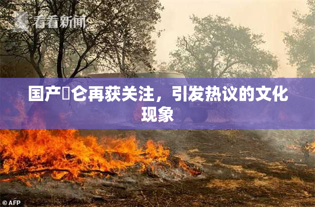 国产婬仑再获关注，引发热议的文化现象
