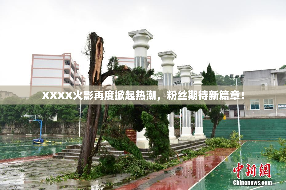 XXXX火影再度掀起热潮，粉丝期待新篇章！