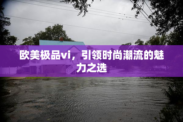 欧美极品vi，引领时尚潮流的魅力之选