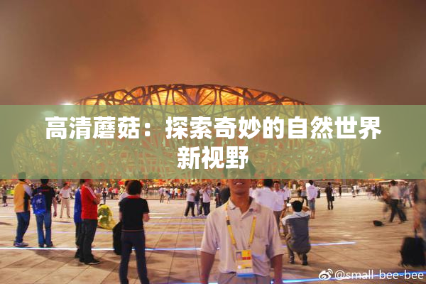 高清蘑菇：探索奇妙的自然世界新视野