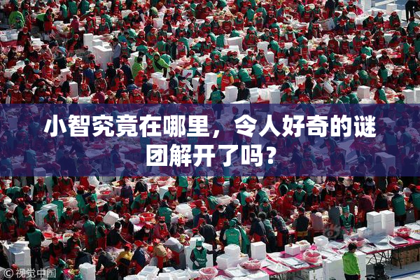 小智究竟在哪里，令人好奇的谜团解开了吗？