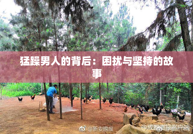 猛躁男人的背后：困扰与坚持的故事