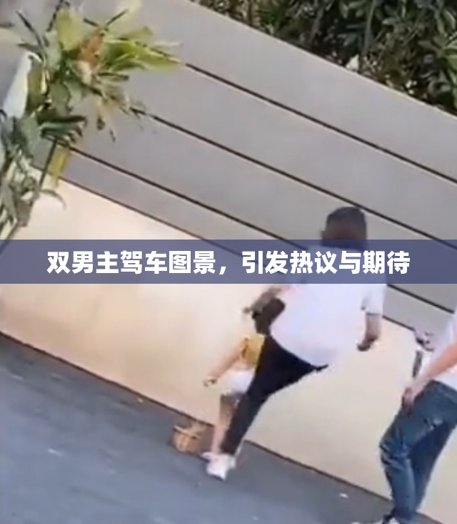 双男主驾车图景，引发热议与期待