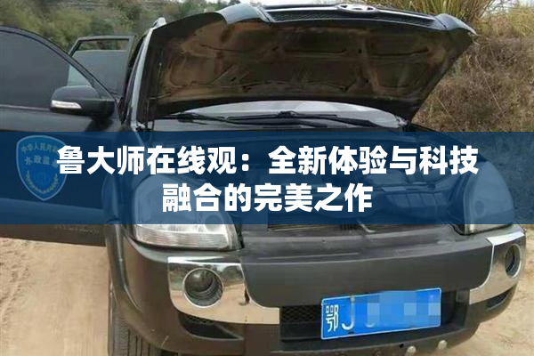 鲁大师在线观：全新体验与科技融合的完美之作