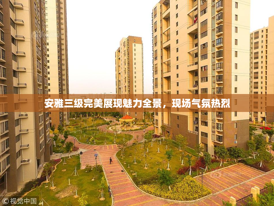 安雅三级完美展现魅力全景，现场气氛热烈