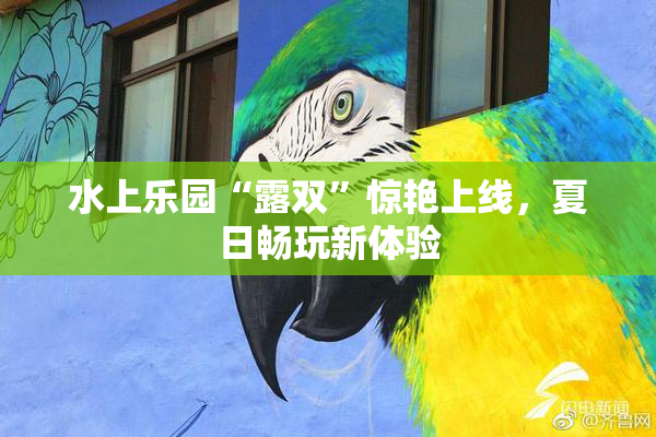 水上乐园“露双”惊艳上线，夏日畅玩新体验
