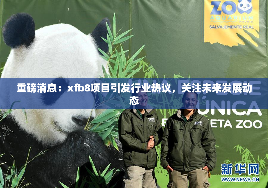 重磅消息：xfb8项目引发行业热议，关注未来发展动态