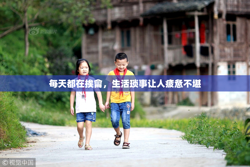 每天都在挨龠，生活琐事让人疲惫不堪