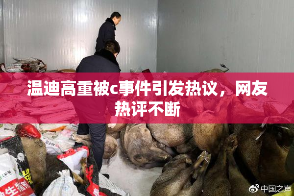 温迪高重被c事件引发热议，网友热评不断