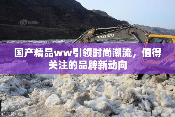 国产精品ww引领时尚潮流，值得关注的品牌新动向