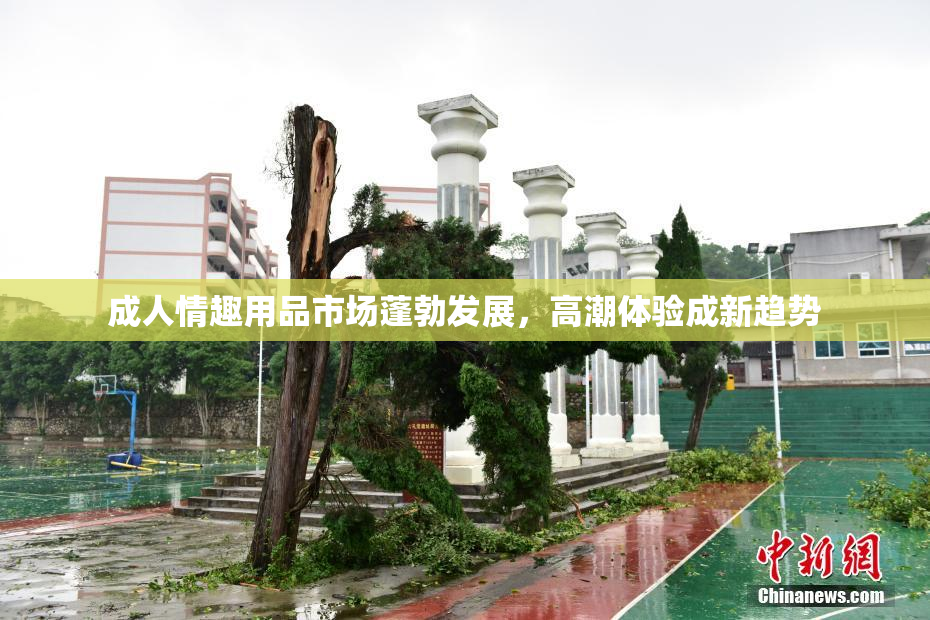 成人情趣用品市场蓬勃发展，高潮体验成新趋势