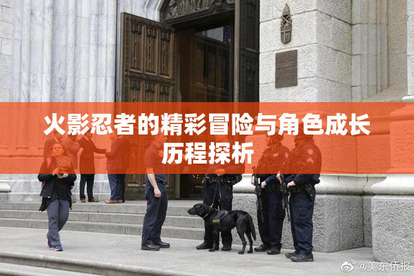 火影忍者的精彩冒险与角色成长历程探析