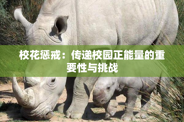 校花惩戒：传递校园正能量的重要性与挑战