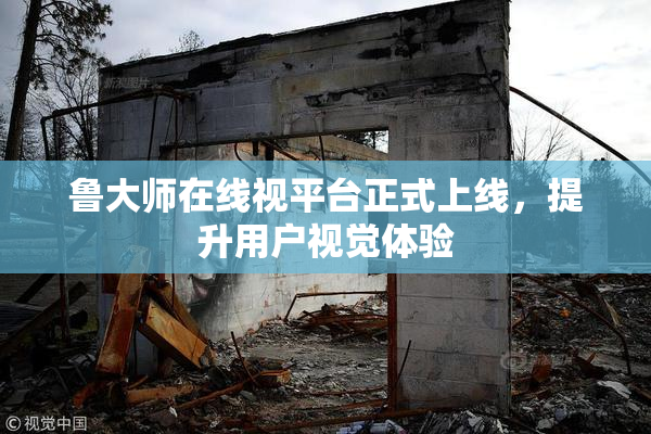 鲁大师在线视平台正式上线，提升用户视觉体验