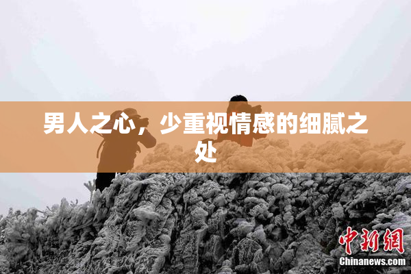 男人之心，少重视情感的细腻之处