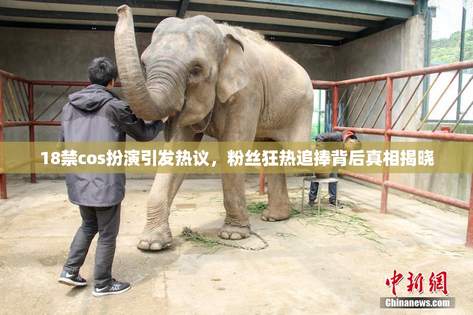 18禁cos扮演引发热议，粉丝狂热追捧背后真相揭晓