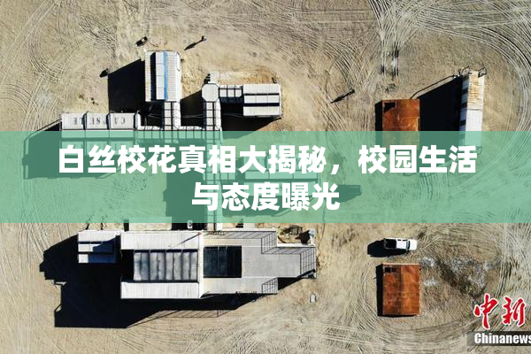 白丝校花真相大揭秘，校园生活与态度曝光