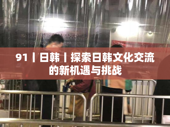 91丨日韩丨探索日韩文化交流的新机遇与挑战