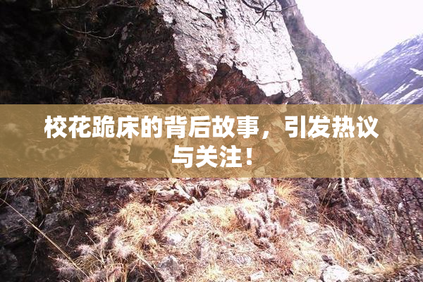 校花跪床的背后故事，引发热议与关注！