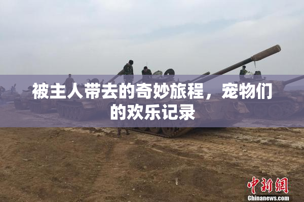 被主人带去的奇妙旅程，宠物们的欢乐记录