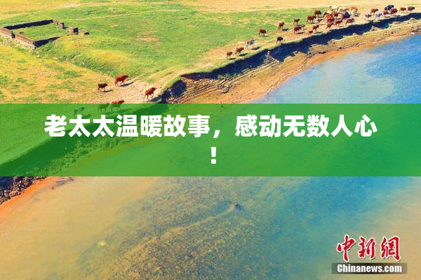 老太太温暖故事，感动无数人心！
