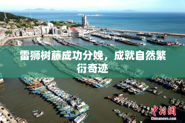 雷狮树藤成功分娩，成就自然繁衍奇迹