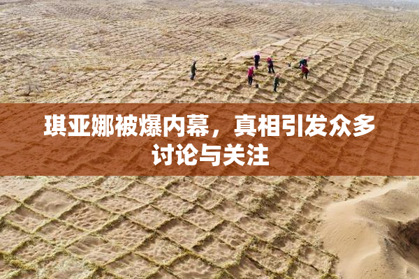 琪亚娜被爆内幕，真相引发众多讨论与关注