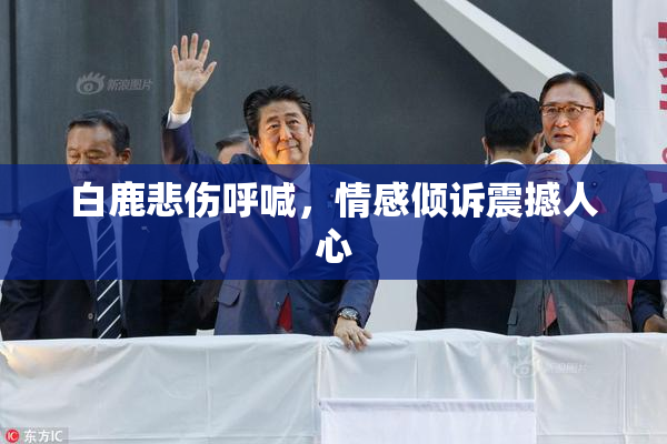 白鹿悲伤呼喊，情感倾诉震撼人心