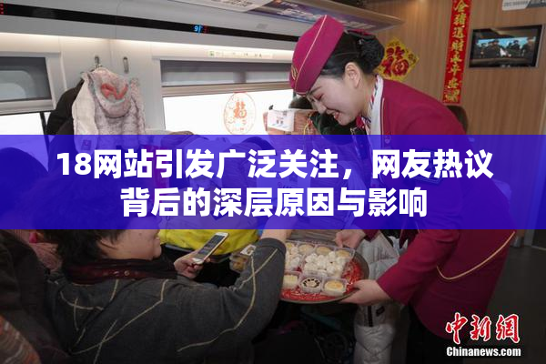 18网站引发广泛关注，网友热议背后的深层原因与影响