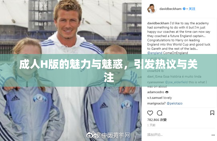 成人H版的魅力与魅惑，引发热议与关注