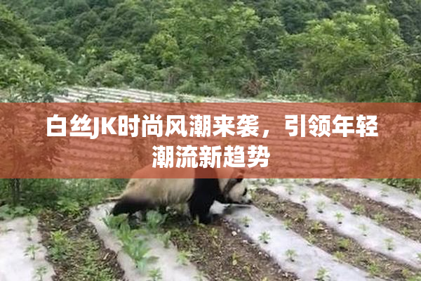 白丝JK时尚风潮来袭，引领年轻潮流新趋势