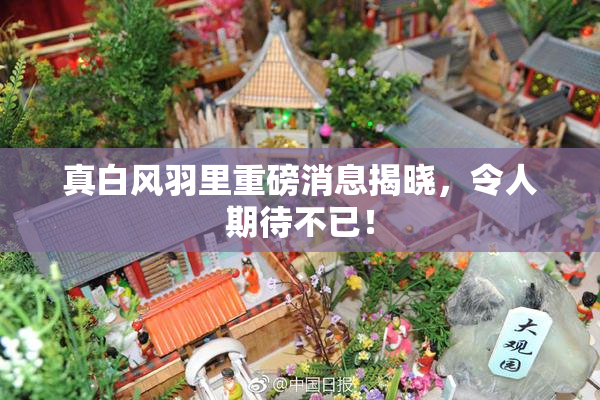 真白风羽里重磅消息揭晓，令人期待不已！